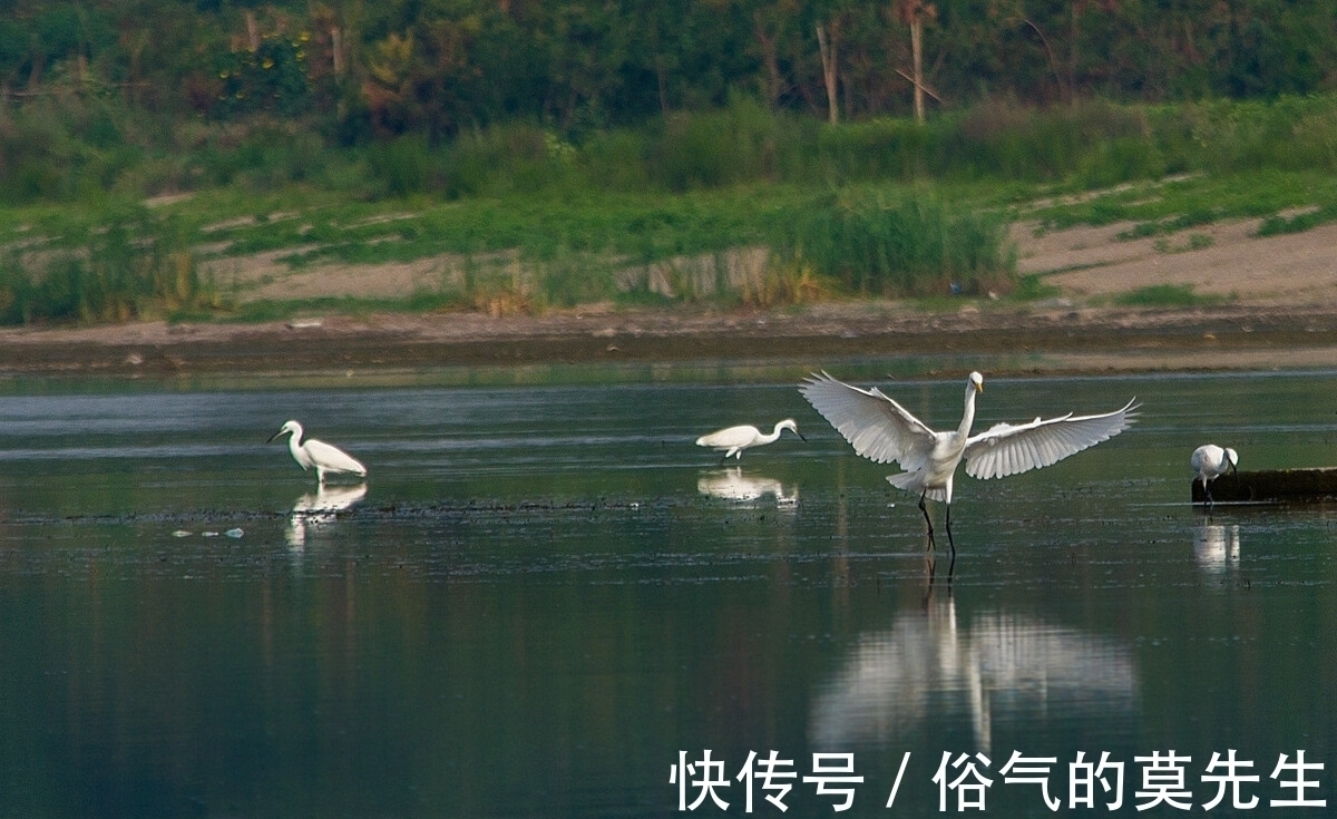 跌宕@陆游初秋时登亭远眺,创作了一首七律,沉郁悲壮,又跌宕起伏