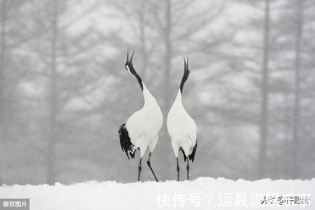 认知障碍|60岁以后,5件事不得不怕、不得不防!记住,并转告给老友们