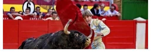 视锥细胞|4个你深信不疑的“常识”,其实都是错的?尤其第3个骗了不少人