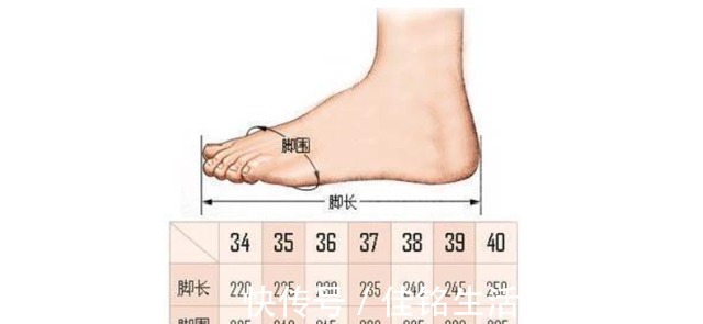 鞋码 37和37.5的鞋差多少!