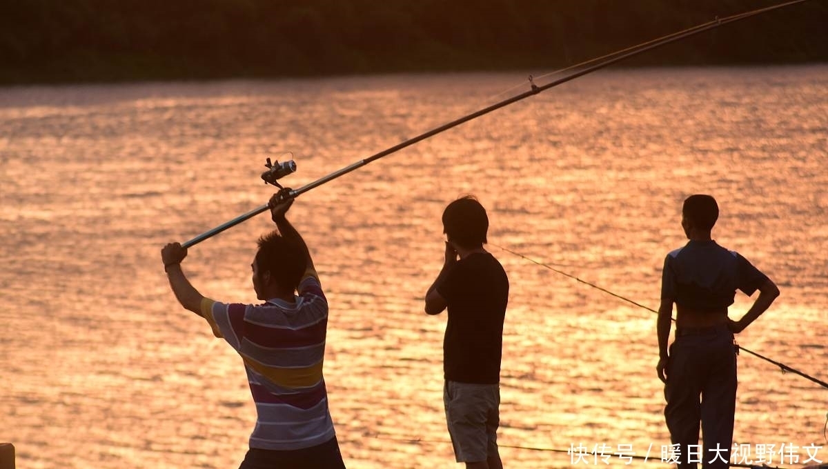 路亚|广东潮州一水库，有人钓起10多斤海鲈鱼，网友：水库有海鲈？