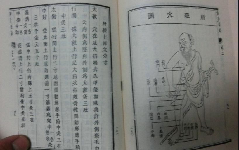 中年|人体有个灵丹妙药，调和脾胃，防病驻颜，带给你源源不断的活力！