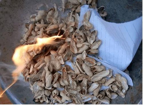 4种垃圾不会分类别担心,埋在花盆底,叶子绿得直滴油!