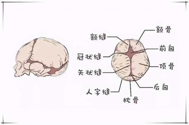 尿不湿|新生儿给父母出的“难题”，外人不会提前告知，准爸妈需尽早学习