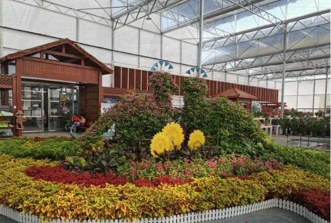 老年|新春沉醉花海,共游壮美叠彩!