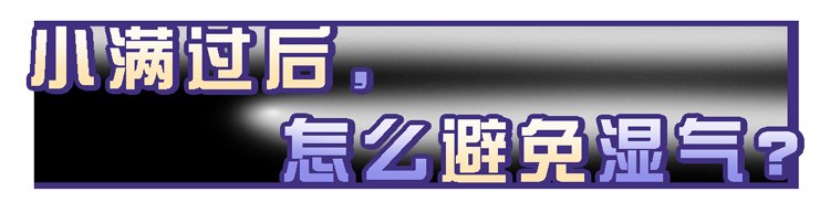 李雪梅|湿气重的人，身体会有12种表现，中了2个以上，提示你该祛湿了