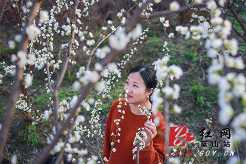 新春走基层｜蓝山：正月花开春意浓