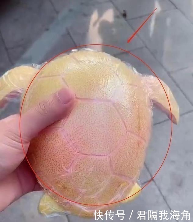 美美|幼儿园要求带水果,宝妈塞给女儿一个最贵的榴莲,第二天孩子哭了