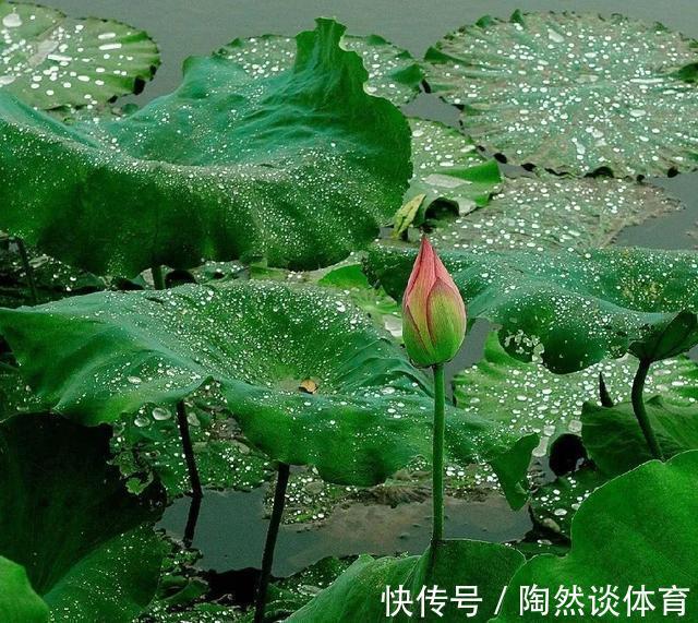 调理|给手脚冰凉，上热下寒的你：一年中适合调理的时机到了！