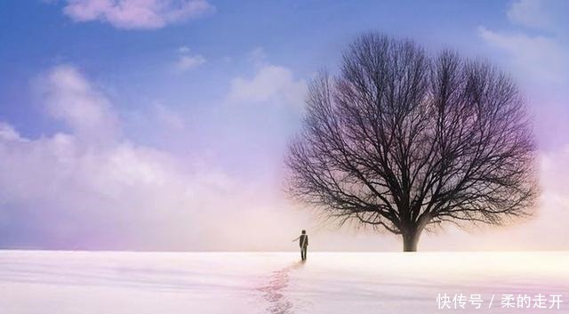 于九州|微型诗十四首丨触摸冬天!