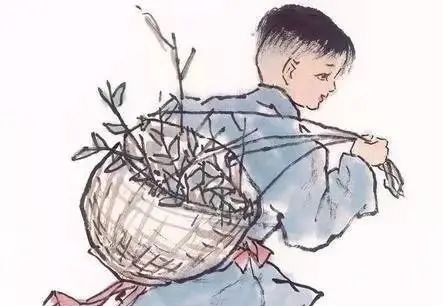 神农尝百草|茶的七件大事,最后一件99%人都不知道