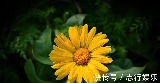 幸福|7天后，爱对的人，似水流年，红娘做媒，重启幸福，白鹭成双