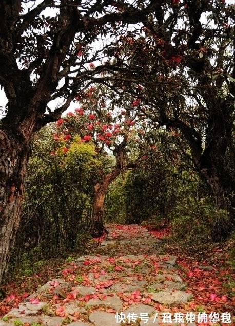 刘丽娟$七律,醉秋五首丨盈盈秋水念秋名,不负秋生这段情