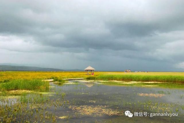 小众却出众，这才是甘南最美的旅游天路！