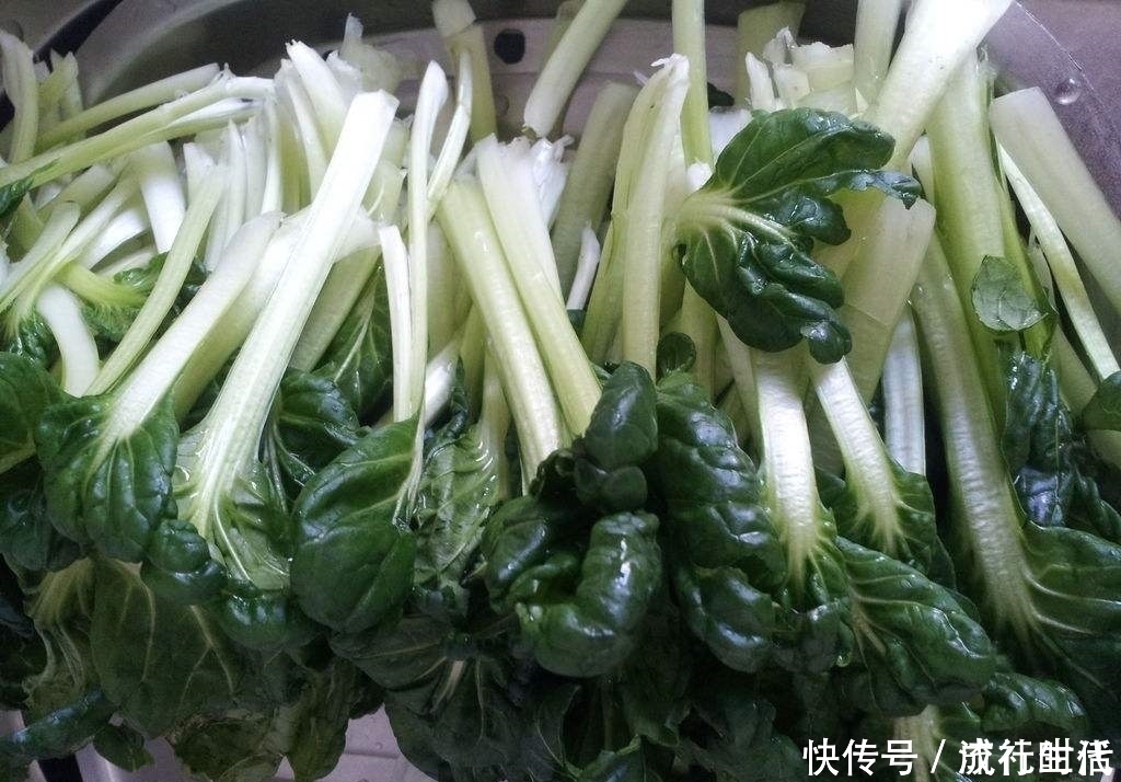 野菜|农村大山里的野菜,常吃身体不会差,头发黑了,还治胃病