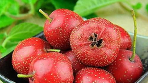 山楂营养价值丰富，山楂的好处你知道多少？几类人牢记少吃山楂！