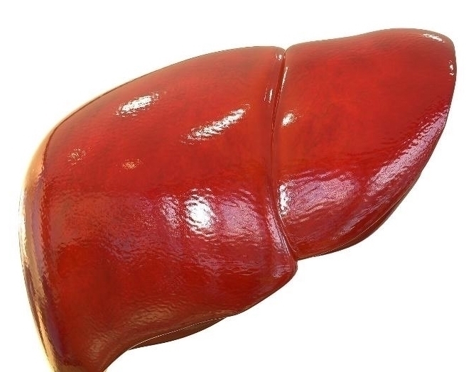 养肝护肝|肝不舒服,早上起床1小时,谨记5句话,坚持1个月,肝慢慢变好