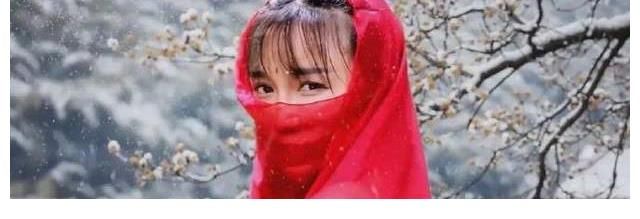 李亚鹏|李子柒团队被挖了，疑似是李亚鹏，不过双方都做出了说明