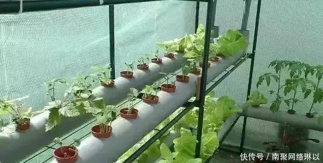 开槽|阳台别再晒衣服了,用一根水管,就能种出全家人吃的菜!