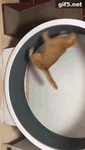 跑步机|你在健身房最真实的样子，被我拍到了！