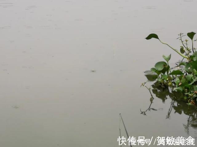 轻口鱼难钓？按我的方法做一钓一个准，再小的口也能逮住