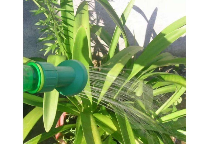 品种|花店的花2天不到就枯了,并不是品种不好,而是养护方法有问题