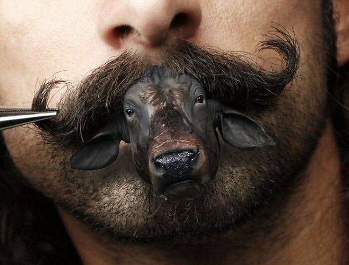 白雪公主!一组艺术家的疯狂照片拼贴画,白雪公主喝多也吐,建国的发现