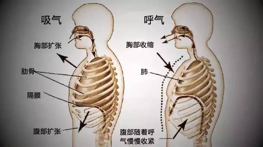 正确的调息方法