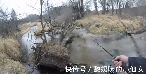 小个红果子做饵,水沟中也能钓获鱼,钓鱼人最爱了