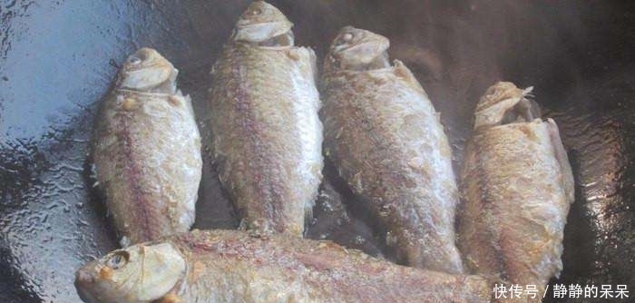 失败|炖鲫鱼只需加盐,汤特别白,而且零失败,原来以前都做错了