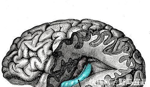 睡眠质量|家长睡前常做这3件事,孩子不仅记忆力好,还一天比一天聪明