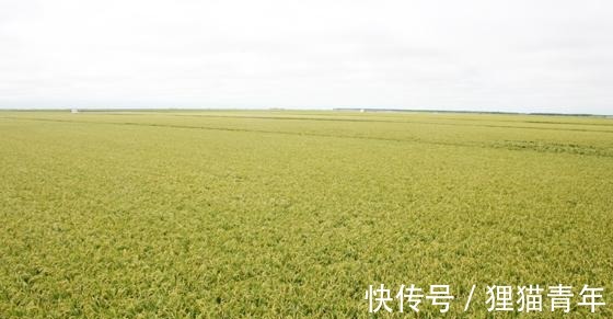 邓太后|形象崩塌 蔡伦、徐玠!