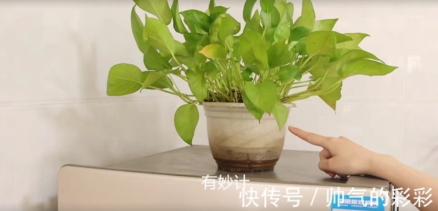 不管家里有没有钱,冰箱上最好别放4样东西,有的别忘了挪走