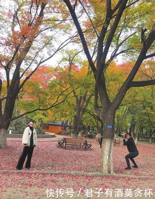 秋日|秋日美图逐个赏