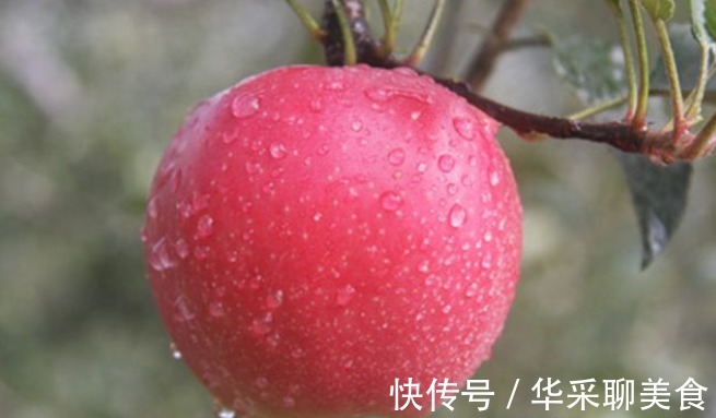 长寿|爱吃苹果的人,长寿不会远离你,但切忌“2不”,却还有人不清楚