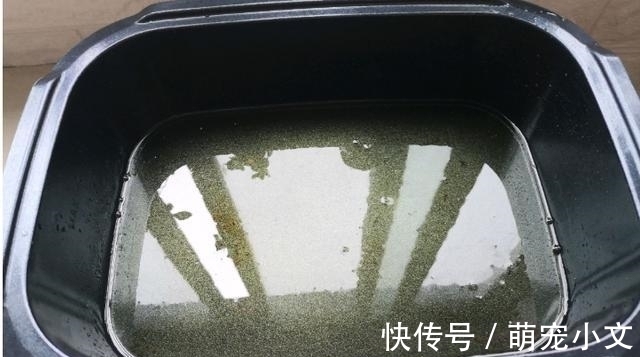 油温|秋冬多吃它吃肉都滋补,1块钱做一筐,家人都喜欢,一冬不生病