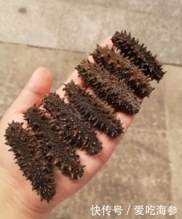 保质期|干海参的保质期是多久?冬季如何保存好?