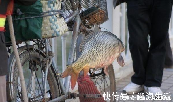 钓法|民间钓鱼人的“流氓式钓鱼”,不用钓饵的,每天照样获鱼几十斤