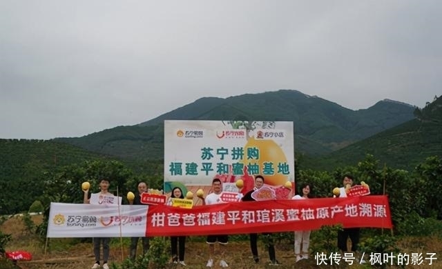 苏宁|苏宁易购注册“一元真香”商标,1元店成争夺下沉市场的利器