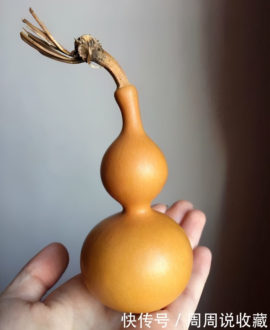文玩|文玩葫芦的盘玩方法