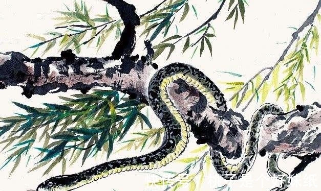 属相|好运开启,人生越来越幸运的3大生肖!八方聚来厚财