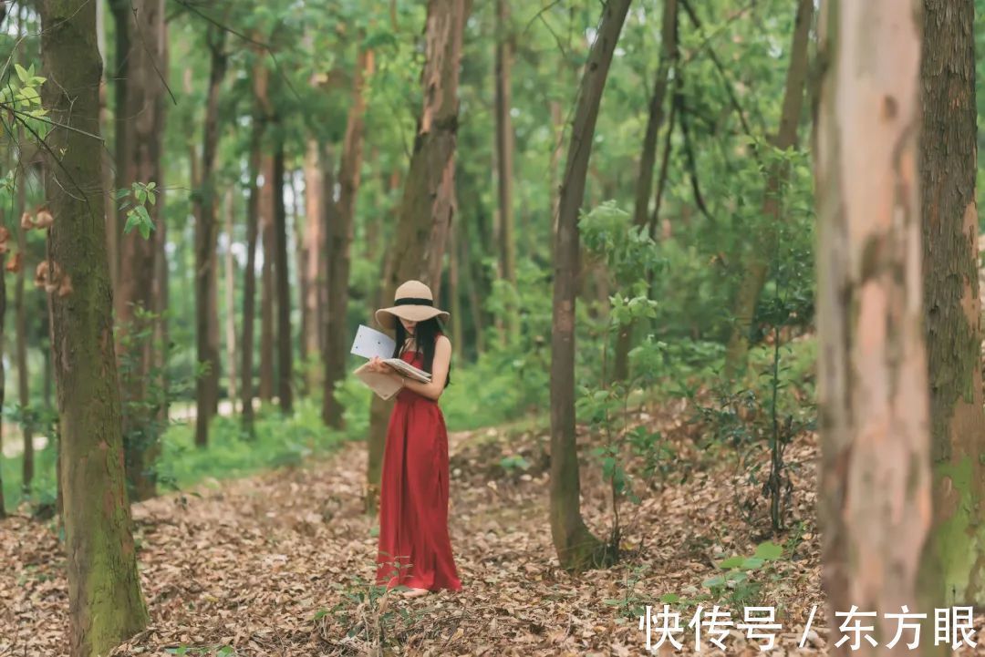 宋词三百首@?有一种魅力,和容貌无关