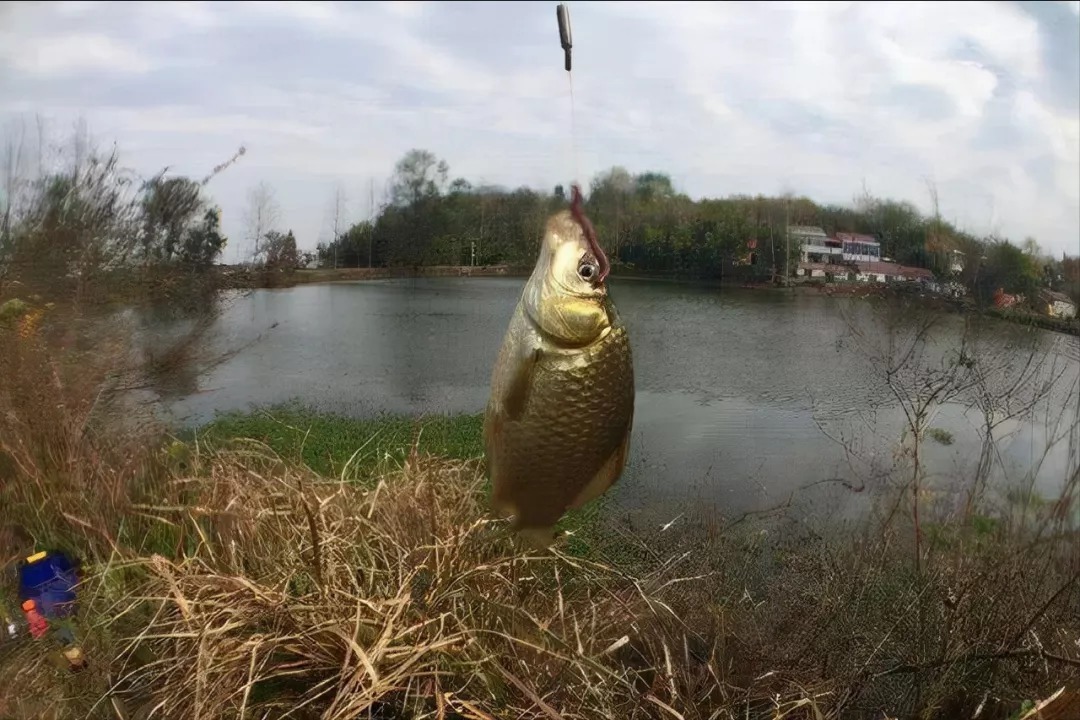 冬天会走钓,渔获少不了,几个关于冬季走钓的小技巧