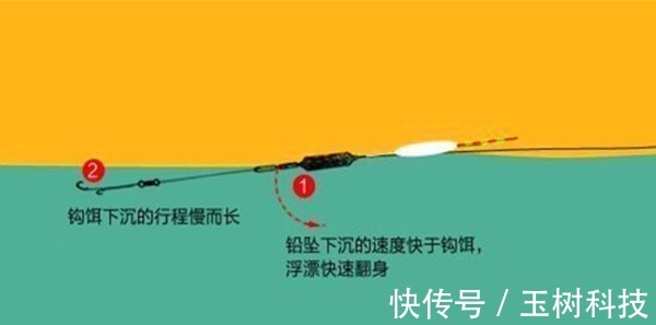野钓如何运用长短子线,以及子线粗细选择的一些方法
