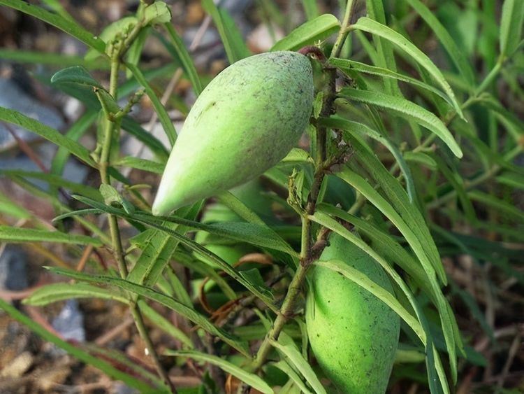 女性到了中年，推荐3种食物，改善肠胃，增强体质，有益健康