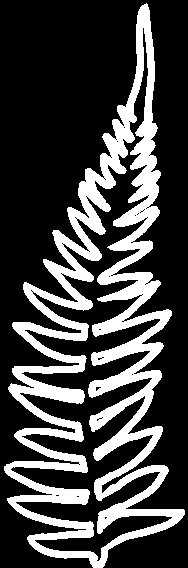 中年|春节遇上情人节，你的出游计划制订了吗？