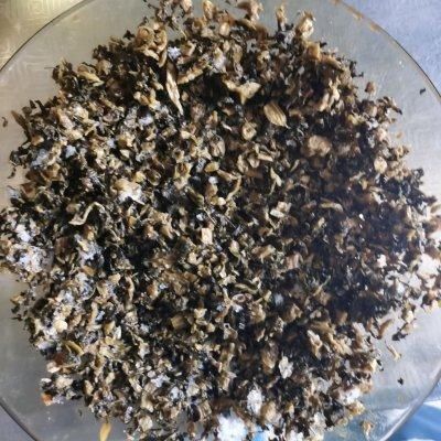 绝对不会出错的做法，怎么做都好吃