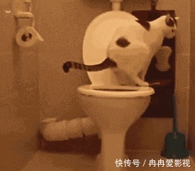 上完厕所,厕纸该冲掉还是扔进纸篓?原来这些年都错了