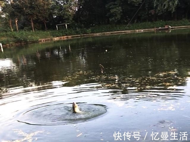 no3|钓鱼圈的这几个“怪事”，大部分钓鱼人都遇到过
