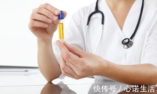 天然胰岛素|糖尿病人的福音天然胰岛素已经找到,每日吃一点,血糖保持平稳